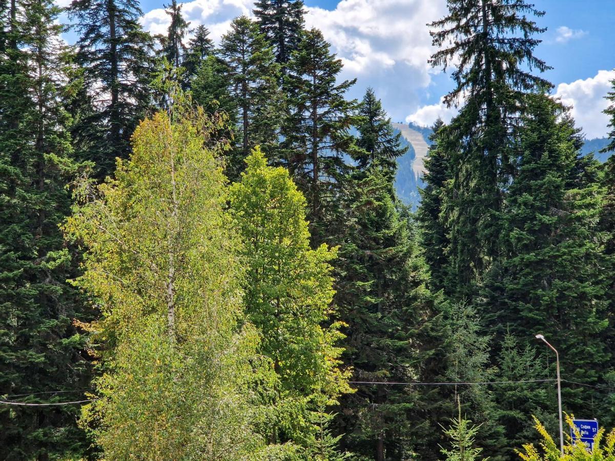 Sunny Apartment C25 Borovets Buitenkant foto